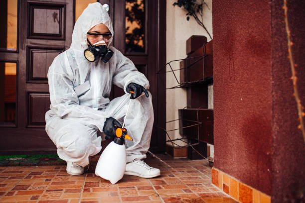 Reliable Wasp Removal contractor in Lucasville, OH by Show Me Pest Control